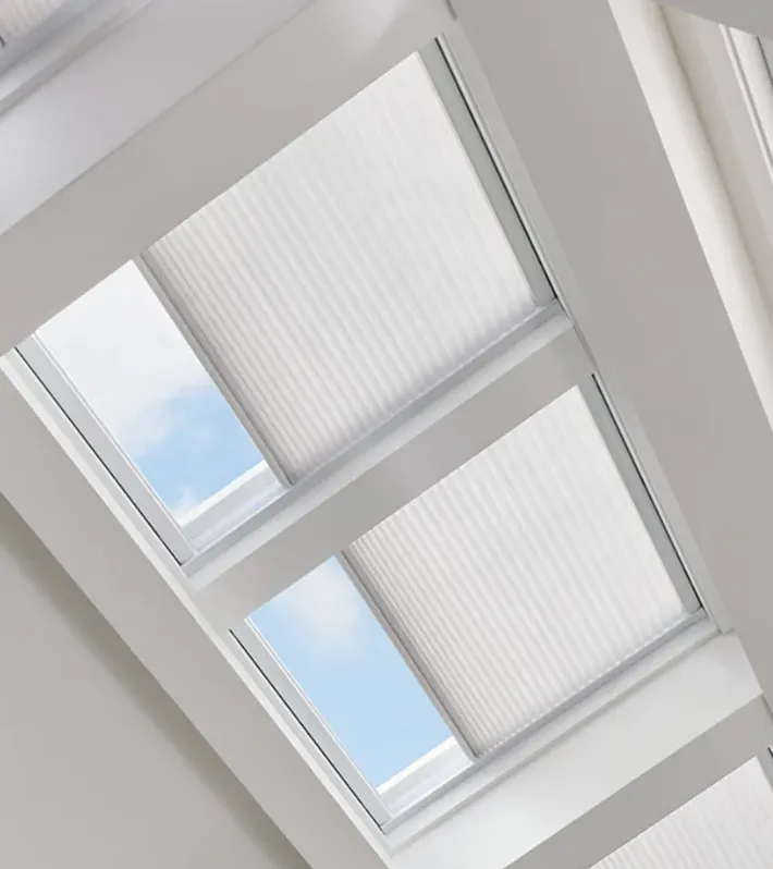 Skylight